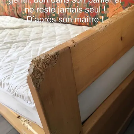 Studio Massif Des Brasses * Saint-Jeoire